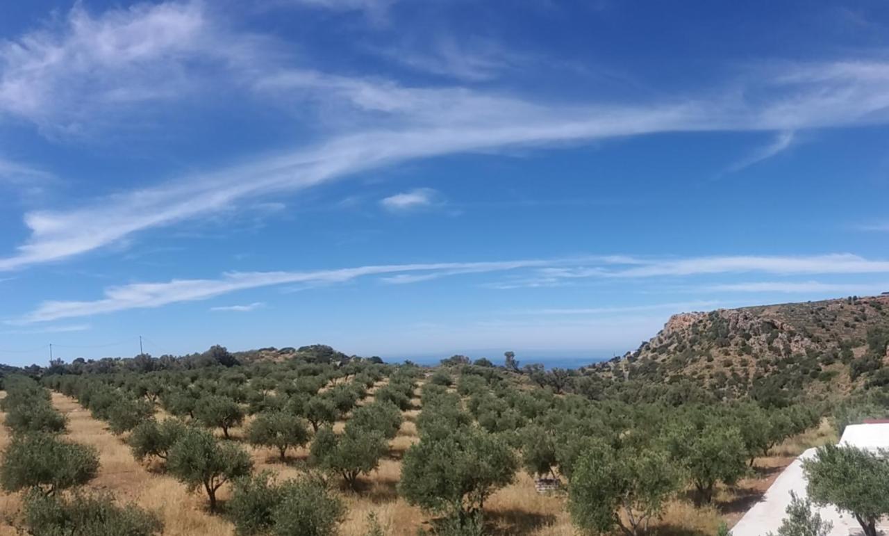 Triopetra Green Dream Kültér fotó